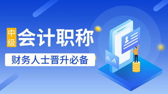 多元化职业培训与人力资源服务 提升职场竞争力的关键路径